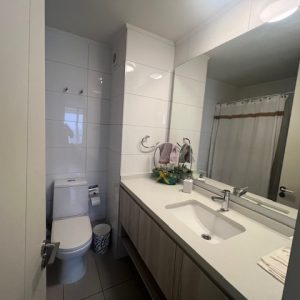 Arriendo Impecable Depto.  Ricardo Wagner/ Av. Ossa/La Reina full